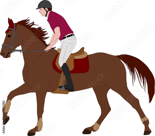 young horseman riding elegant horse color illustration - vector