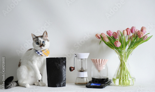 Blue-eyed white cat and brewing coffee in origami dripper. Manual grinder, scale, tulips. Black pack without label photo