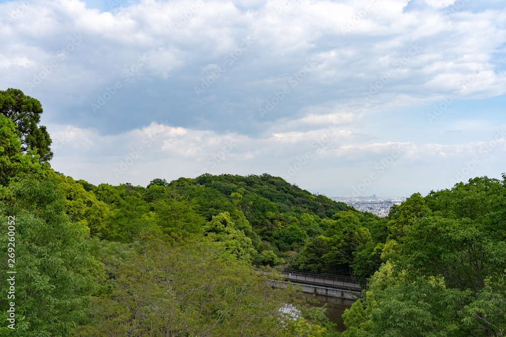 甲山森林公園の自然風景