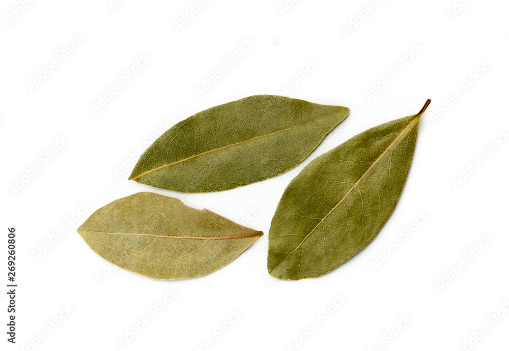 Dried bay leaf isolated on white background Dried bay leaf isolated on white background