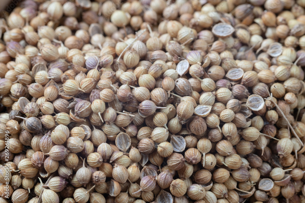 close up of pile Coriander seeds on wooden bowl