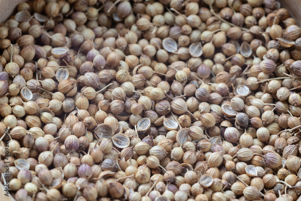 close up of pile Coriander seeds on wooden bowl close up of pile Coriander seeds on wooden bowl