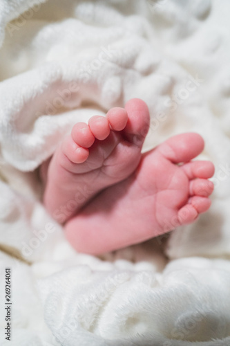 New Born Baby Small Feet on White Blanket. Family, new life, childhood, beginning concept. © ManuPadilla