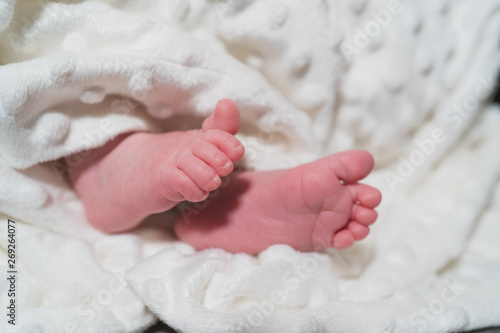 New Born Baby Small Feet on White Blanket. Family, new life, childhood, beginning concept.