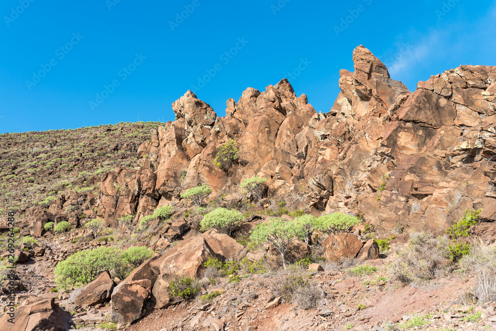 Igneous rock formation on the long distance trail from the Valle Gran Rey to the village Arure. 850m up on serpentine to the La Merica plateau on top of the mountain Igneous rock formation on the long distance trail from the Valle Gran Rey to the village Arure. 850m up on serpentine to the La Merica plateau on top of the mountain