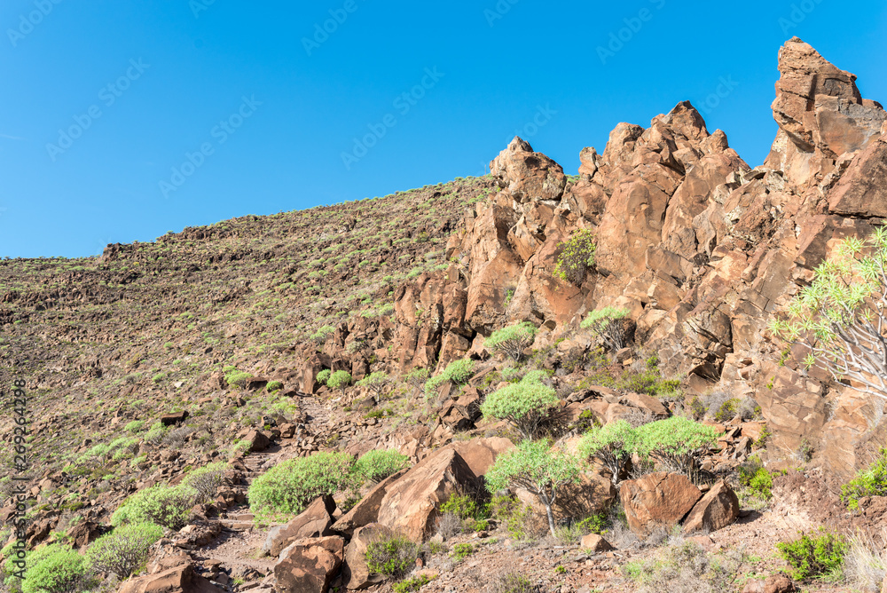 Fototapeta premium Igneous rock formation on the long distance trail from the Valle Gran Rey to the village Arure. 850m up on serpentine to the La Merica plateau on top of the mountain