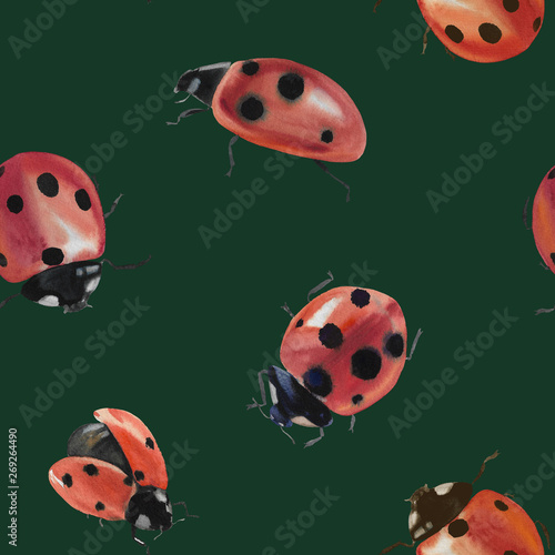 Seamless pattern with ladybug in watercolor. Ladybug for design. Ladybugs isolated on white background. Watercolor painting.