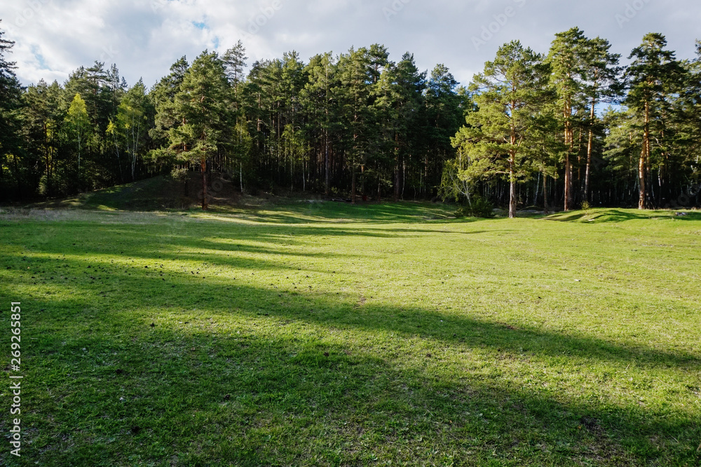 Fototapeta premium Sunny valley with shade and light from the trees around it in summer time. Nobody in forest sunny valley