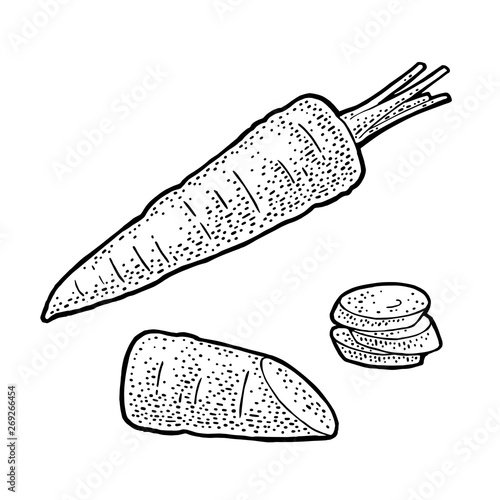 Carrots whole, half and slice. Vector black vintage engraving