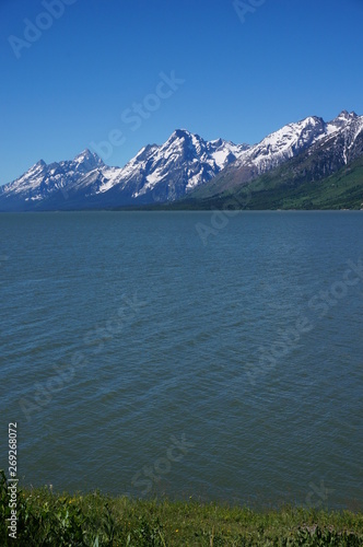 Jackson Lake in Summer