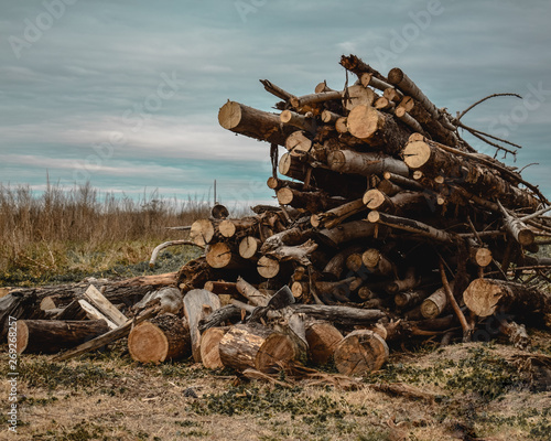 Wood stacking up in a messy  order. Winter.
