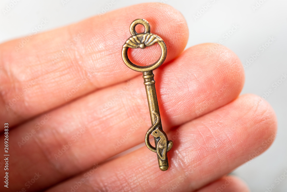 Decorative keys of different sizes and styles on grey background Decorative keys of different sizes and styles on grey background