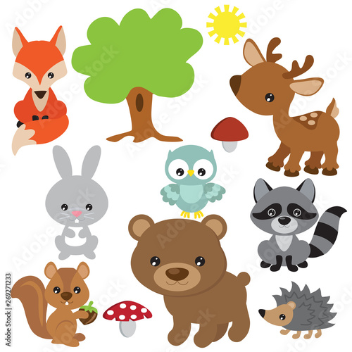 Cute forest baby animal vector cartoon illustration