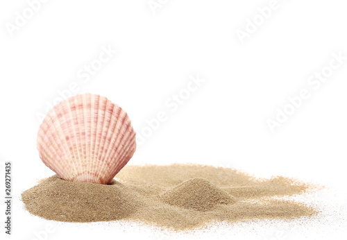 Seashells in sand pile isolated on white background