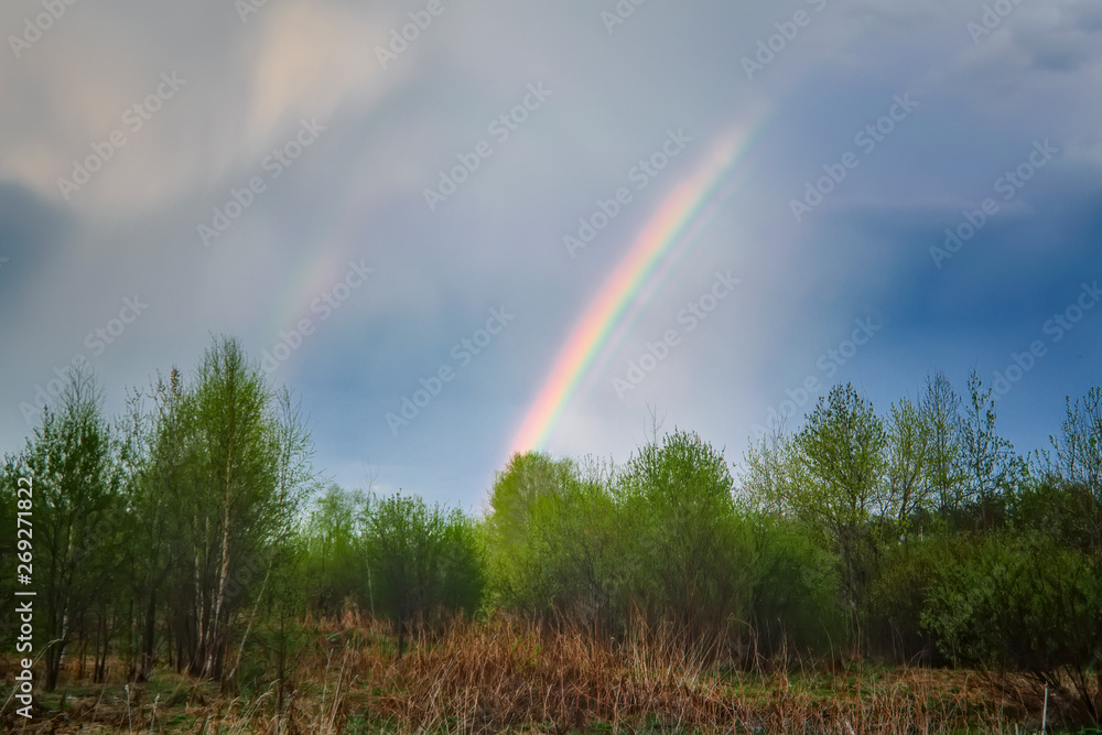 Double rainbow in the sky above the forest before sunset. Double rainbow in the sky above the forest before sunset.