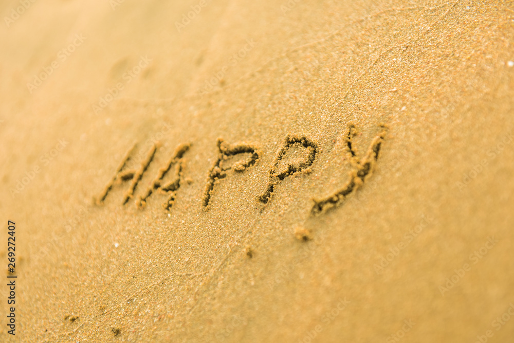 Fototapeta premium Signs on sand beach written by hand, inspire to travel to exotic islands and relax. Words Ocean, fun, happy and smile on yellow beach. Family tour travel time in summer resort. Enjoy your holidays