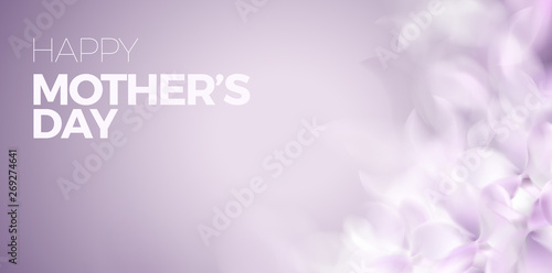 Soft spring background with purple blurred flower petals