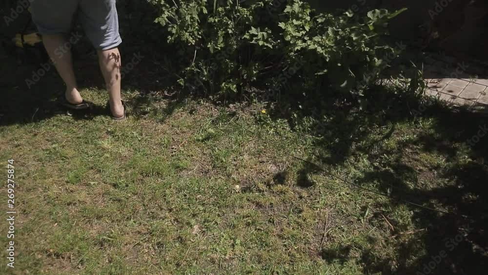 fat bald man barefoot Topless mows lawn yellow lawn mower fat bald man barefoot Topless mows lawn yellow lawn mower