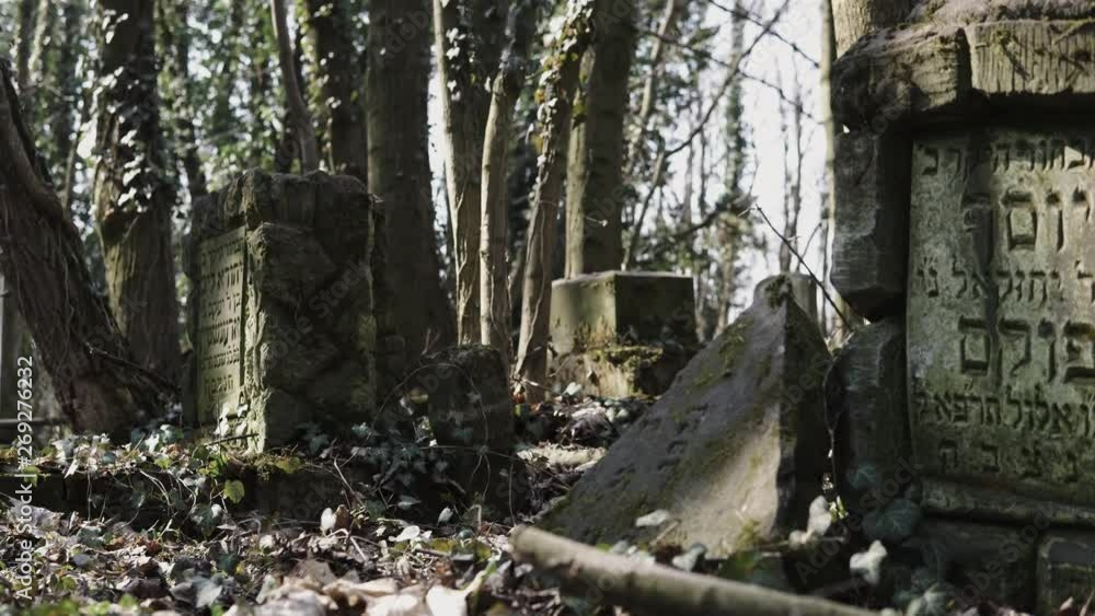 Horizontal camera slide on old jewish cemetery located in the city of Czestochowa in Poland with destroyed matzevah Horizontal camera slide on old jewish cemetery located in the city of Czestochowa in Poland with destroyed matzevah