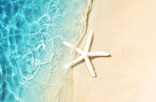 Starfish on the summer beach. Summer background. Tropical sand beach