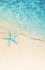 Keuken achterwand Turquoise Zeester op tropisch zomerstrand  © Belight