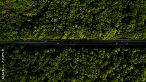 The road artery leads through the forest