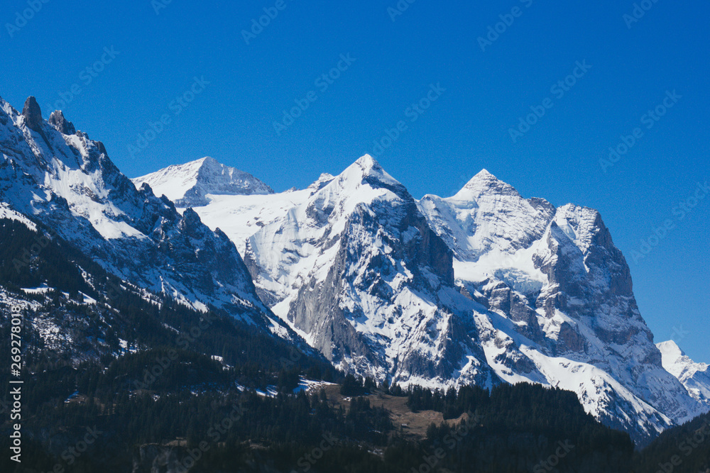 Obraz premium Swiss Alps in sunny day, view from Beatenberg