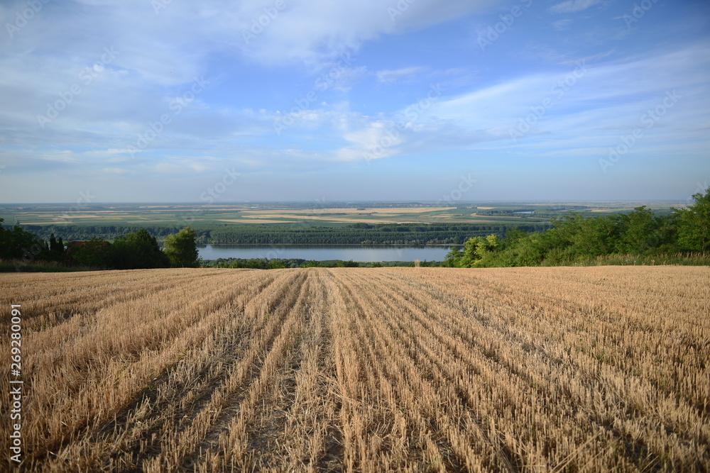 Field with river view Field with river view