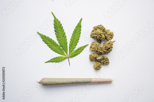 Cannabis leaf medical marijuana rolled joint isolated on white photo
