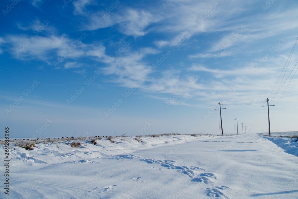 rural snow covered landscape with power lines 