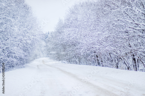 Winter snowy road. Branches of snowy trees hang over the road. Winter landscape. Journey in the winter.