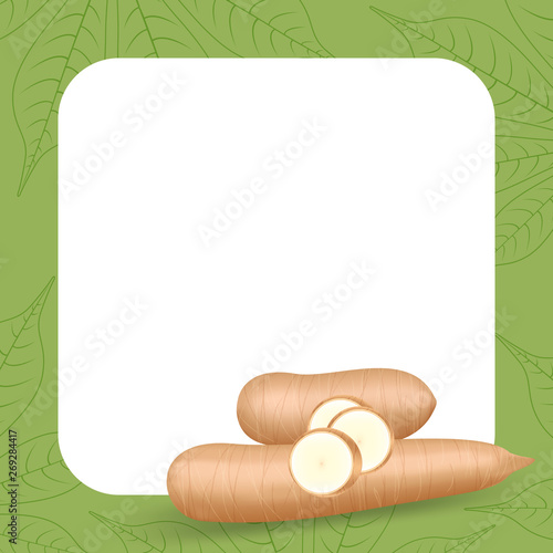 banner frame of cassava fresh for copy space, cassava cut slice for tapioca flour industry or ethanol, pile yucca cassava tuber on frame, raw manioc cassava on template banner green background empty