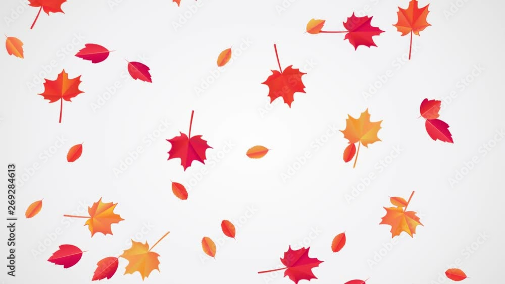 Falling Autumn Leaves animation.Looped 4k video, beautiful fall leaves move down under little wind. Autumnal mood. Can use this clip for background or overlays on your image, video project. Falling Autumn Leaves animation.Looped 4k video, beautiful fall leaves move down under little wind. Autumnal mood. Can use this clip for background or overlays on your image, video project.