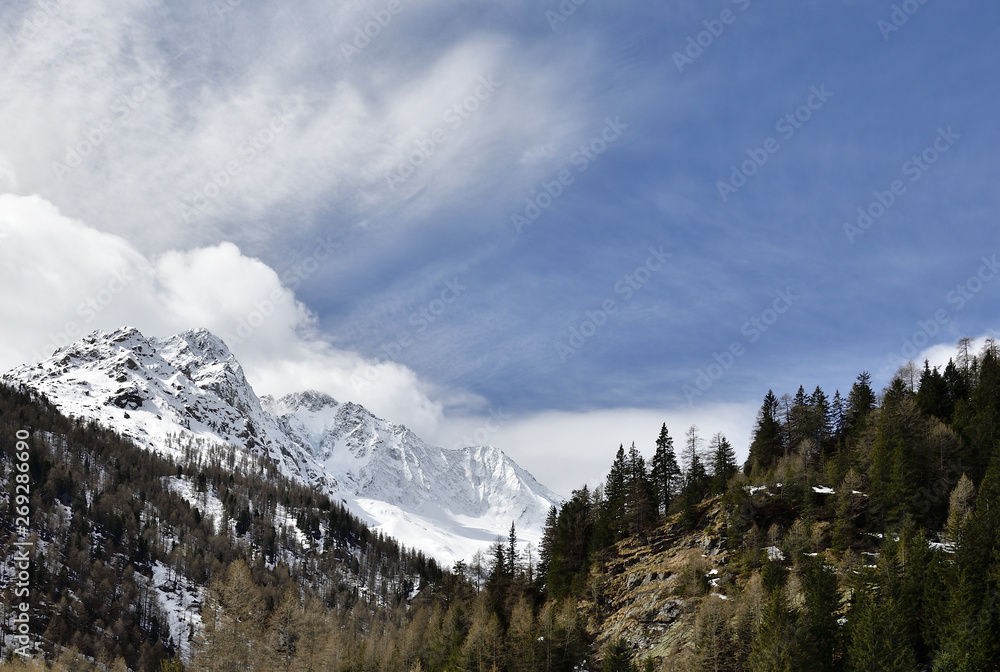 Fototapeta premium Disgrazia mountain with its hanging glacier