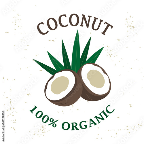 Vector packaging design element - coconut fruit. Art can be used for design pack of milk - healthy vegan drink.
