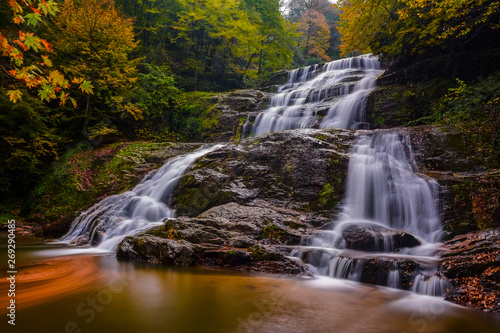 Autumn colors with waterfall and leaves © ali