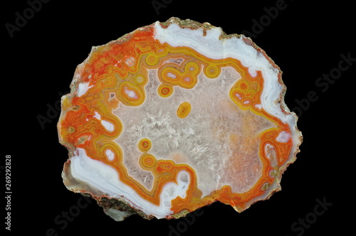 A cross section of the eyelet agate filled with quartz. Multicolored silica bands colored with metal oxides are visible.
