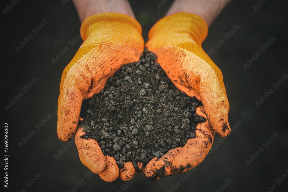 Gardener is holding in hands a garden soil. Gardener is holding in hands a garden soil.