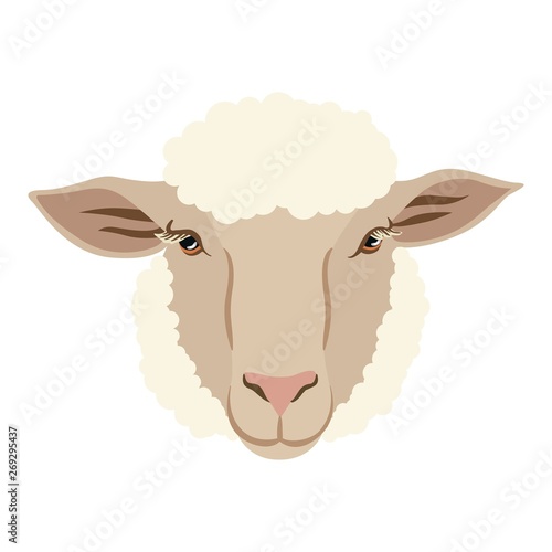 vector drawing of the sheep's head full face