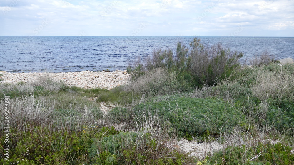 Orizzonte marino visto dalla costa adriatica pugliese