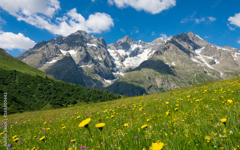 Picturesque view of the untouched nature under the snow capped mountains. Picturesque view of the untouched nature under the snow capped mountains.