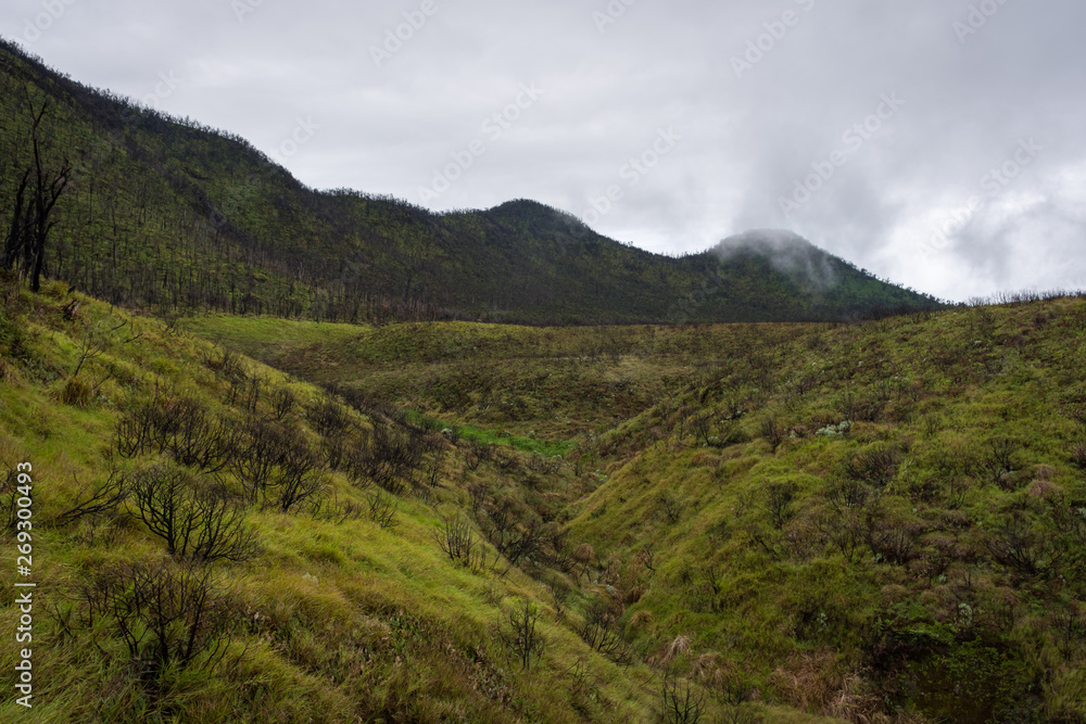 Dead forest of mount Papandayan is the most popular place for tourist. The beauty of heritage of volcanic eruption on the past. Papandayan Mountain is one of the favorite place to hike on Garut.
