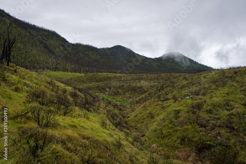 Dead forest of mount Papandayan is the most popular place for tourist. The beauty of heritage of volcanic eruption on the past. Papandayan Mountain is one of the favorite place to hike on Garut.