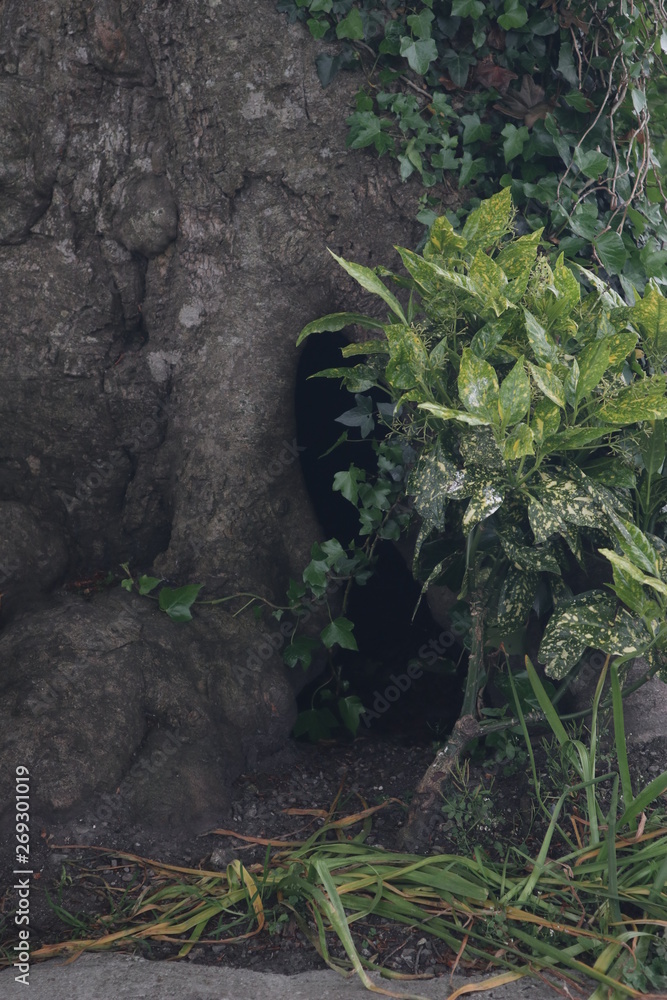 Hidden Passage Hidden Passage