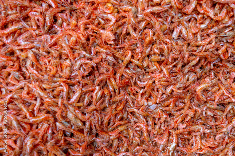 Close-up of tiny shrimp for sale at Jagalchi Fish Market in Busan, South Korea 