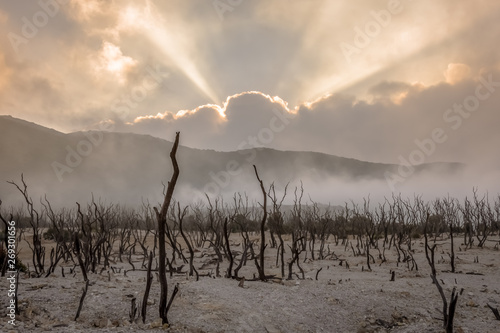 Dead forest of mount Papandayan is the most popular place for tourist. The beauty of heritage of volcanic eruption on the past. Papandayan Mountain is one of the favorite place to hike on Garut.