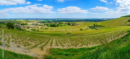 Panoramic landscape of vineyards and countryside in Beaujolais
