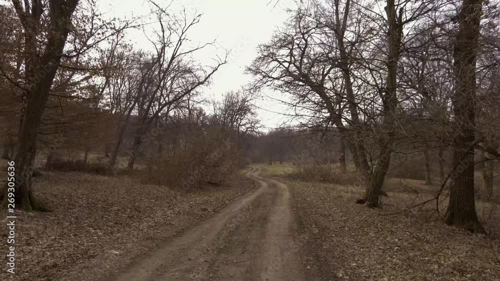 Driving on a narrow dirt path through Hoia Baciu forest in Romania. Legend of haunted forest near Transylvania, Romania famous for mysterious events. Driving on a narrow dirt path through Hoia Baciu forest in Romania. Legend of haunted forest near Transylvania, Romania famous for mysterious events.