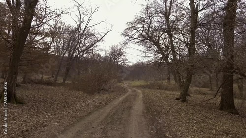 Driving on a narrow dirt path through Hoia Baciu forest in Romania. Legend of haunted forest near Transylvania, Romania famous for mysterious events. photo