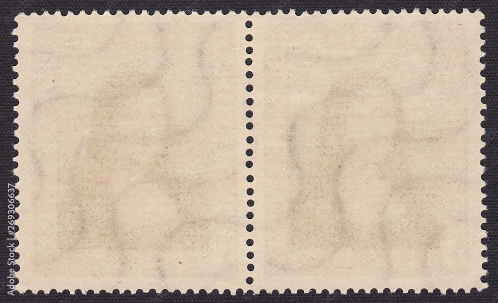 The reverse side of two postage stamps with remnants of glue and female profile